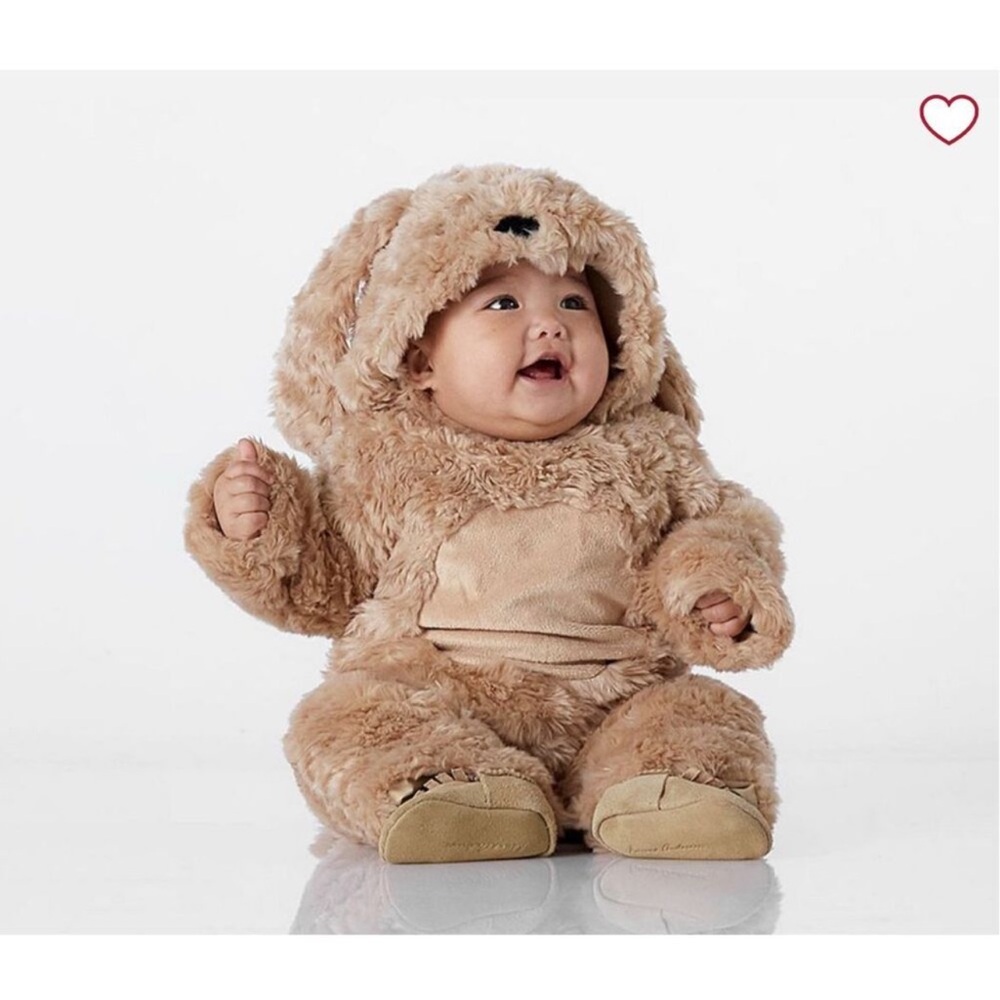Pottery Barn Kids 0-6 Months Baby Labradoodle Dog Halloween Costume